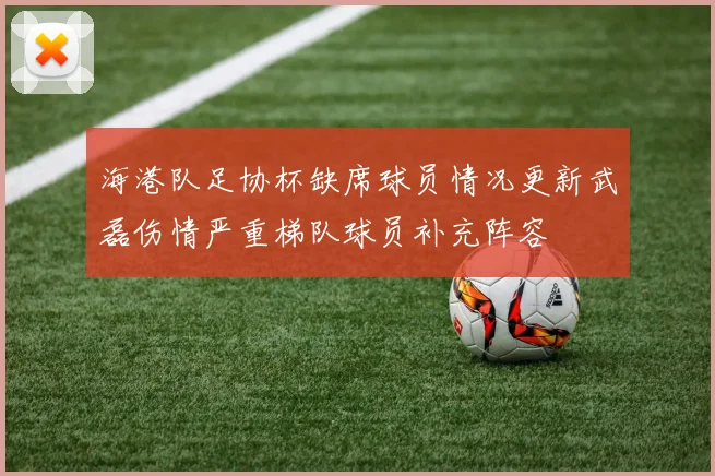 海港队足协杯缺席球员情况更新武磊伤情严重梯队球员补充阵容