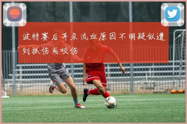 波特赛后耳朵流血原因不明疑似遭到抓伤或咬伤